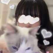 ヒメ日記 2025/03/10 11:29 投稿 あまね FORTE