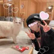 ヒメ日記 2025/04/11 09:53 投稿 あまね FORTE