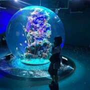 ヒメ日記 2025/05/30 13:19 投稿 あまね FORTE