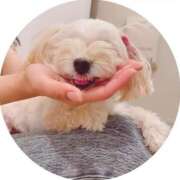 ヒメ日記 2025/06/16 08:25 投稿 あまね FORTE