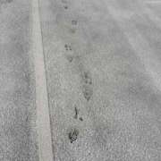 ヒメ日記 2026/02/08 18:30 投稿 リノ【敏感美女のえ〇ちな戯れ】 ドＭなバニーちゃん小倉店