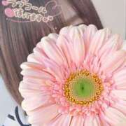 ヒメ日記 2025/04/06 19:35 投稿 成瀬　えりか エテルナ京都