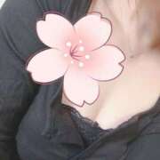 ヒメ日記 2025/04/16 17:18 投稿 成瀬　えりか エテルナ京都