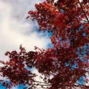 かのん 今日♡ おいしい奥様