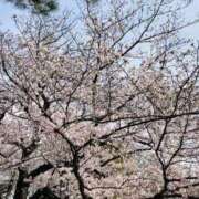 かのん 春分のひ🌸 おいしい奥様