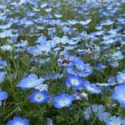 ヒメ日記 2025/05/16 19:37 投稿 音譜 るる アロマージュ大宮