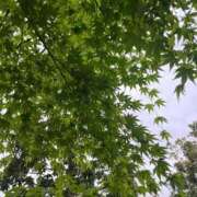 ヒメ日記 2025/05/02 10:58 投稿 岡崎花音(かのん) 東京不倫～とうきょうふりん～