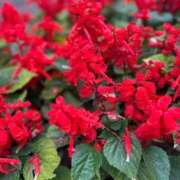 ヒメ日記 2025/05/14 12:18 投稿 岡崎花音(かのん) 東京不倫～とうきょうふりん～