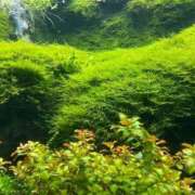 ヒメ日記 2025/05/24 12:21 投稿 岡崎花音(かのん) 東京不倫～とうきょうふりん～