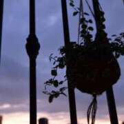 ヒメ日記 2025/06/06 12:08 投稿 岡崎花音(かのん) 東京不倫～とうきょうふりん～