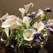 ヒメ日記 2025/07/25 12:09 投稿 岡崎花音(かのん) 東京不倫～とうきょうふりん～