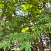 ヒメ日記 2025/09/01 21:18 投稿 岡崎花音(かのん) 東京不倫～とうきょうふりん～