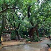 岡崎花音(かのん) 珍しく 東京不倫～とうきょうふりん～