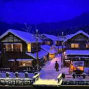 ヒメ日記 2025/12/30 12:08 投稿 岡崎花音(かのん) 東京不倫～とうきょうふりん～