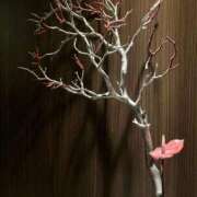 ヒメ日記 2026/02/05 12:18 投稿 岡崎花音(かのん) 東京不倫～とうきょうふりん～