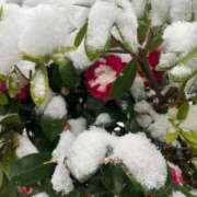 ヒメ日記 2026/02/22 14:18 投稿 岡崎花音(かのん) 東京不倫～とうきょうふりん～