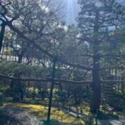 ヒメ日記 2026/03/27 12:08 投稿 岡崎花音(かのん) 東京不倫～とうきょうふりん～