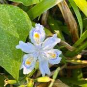 ヒメ日記 2026/05/20 12:08 投稿 岡崎花音(かのん) 東京不倫～とうきょうふりん～