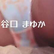 ヒメ日記 2025/04/25 11:44 投稿 谷口まゆか ミスターダンディー