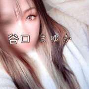 ヒメ日記 2025/07/06 17:13 投稿 谷口まゆか ミスターダンディー