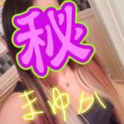 ヒメ日記 2025/08/01 05:23 投稿 谷口まゆか ミスターダンディー