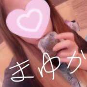 ヒメ日記 2025/08/31 05:23 投稿 谷口まゆか ミスターダンディー