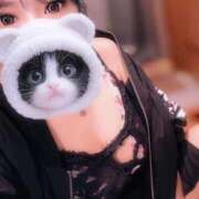 ヒメ日記 2025/11/12 21:23 投稿 谷口まゆか ミスターダンディー