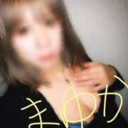 ヒメ日記 2026/01/19 13:33 投稿 谷口まゆか ミスターダンディー