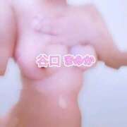 ヒメ日記 2026/02/20 04:03 投稿 谷口まゆか ミスターダンディー