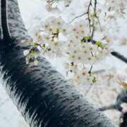 ヒメ日記 2026/03/26 09:33 投稿 谷口まゆか ミスターダンディー