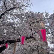 ヒメ日記 2026/04/08 03:56 投稿 秋山ななみ 断りきれない美人マッサージ嬢たち