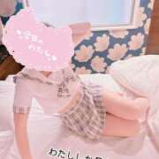 ヒメ日記 2025/05/10 11:15 投稿 みはる プリンセスセレクション姫路