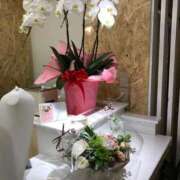 ヒメ日記 2025/03/10 19:56 投稿 あき 熟女の風俗アウトレット大垣安八羽島店