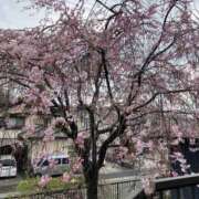 ヒメ日記 2025/04/21 18:26 投稿 あき 熟女の風俗アウトレット大垣安八羽島店