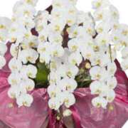 あき こんにちは 熟女の風俗アウトレット大垣安八羽島店