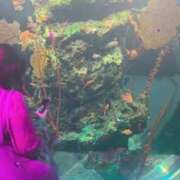 ヒメ日記 2025/03/23 18:30 投稿 うみ★(濡れ濡れ体質) ぽっちゃり女神 あぷろでぃーて