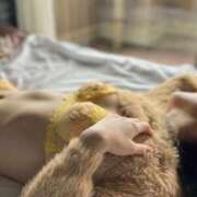 ヒメ日記 2025/12/24 11:10 投稿 カナタ キャンディ(鹿児島)