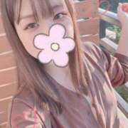 ヒメ日記 2026/04/14 15:10 投稿 カナタ キャンディ(鹿児島)