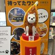 ヒメ日記 2025/04/19 09:47 投稿 りりか TALENT（タレント）