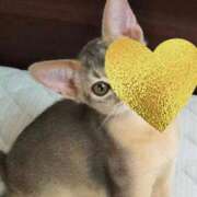 ヒメ日記 2025/06/29 09:45 投稿 りりか TALENT（タレント）