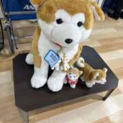 ヒメ日記 2025/07/24 18:30 投稿 りりか TALENT（タレント）