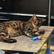 ヒメ日記 2025/08/19 11:00 投稿 りりか TALENT（タレント）