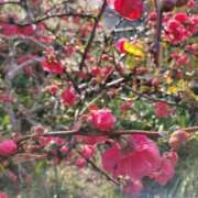 ヒメ日記 2025/04/04 08:34 投稿 和水（なごみ） PLUS難波店