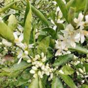 ヒメ日記 2025/05/10 18:44 投稿 和水（なごみ） PLUS難波店