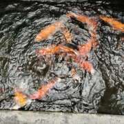 ヒメ日記 2025/05/12 14:24 投稿 和水（なごみ） PLUS難波店