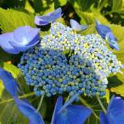 ヒメ日記 2025/05/20 20:04 投稿 和水（なごみ） PLUS難波店