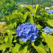 ヒメ日記 2025/05/21 18:54 投稿 和水（なごみ） PLUS難波店