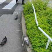 ヒメ日記 2025/05/27 15:04 投稿 和水（なごみ） PLUS難波店