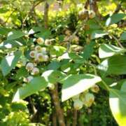 ヒメ日記 2025/06/07 16:08 投稿 和水（なごみ） PLUS難波店