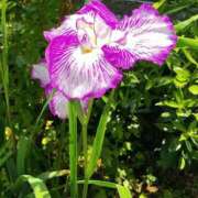 ヒメ日記 2025/06/13 21:14 投稿 和水（なごみ） PLUS難波店